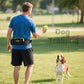 Hands Free Dog Leash for Medium Large Dogs, Waist Support Padded Bungee Dog Running Leash with Reflective Stitching for Walks, Jogging, Running