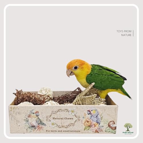 Bird Toys Bird Foraging Shredding Chewing Parrot Foraging Shredding Toys Chewing Toy Birdcage Accessories for Conures Caiques Cockatiel Budgies Parakeet and Small to Medium Birds