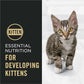 Purina Pro Plan Kitten Dry Food Complete Essentials Shredded Blend Chicken and Rice Formula - 6 lb. Bag