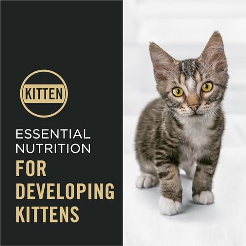 Purina Pro Plan Kitten Dry Food Complete Essentials Shredded Blend Chicken and Rice Formula - 6 lb. Bag