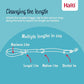 Halti Training Leash - Multifunctional Double-Ended Dog Leash, Ideal for Anti-Pulling Dog Training. Lightweight, Soft & Durable. Suitable for Medium