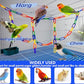 200-Piece Rainbow Plastic Chain Links & Toys - Interlocking C-Clip Bird Cage Accessories for Parakeets, Sugar Gliders, Small Pets (Climbing/Swinging Toys)