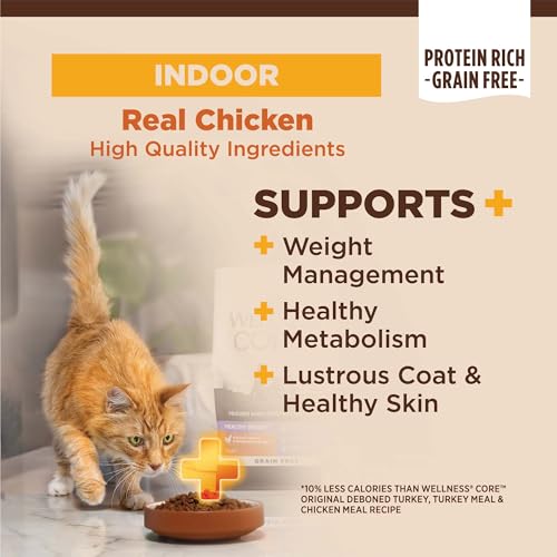 Wellness CORE+ Adult Dry Cat Food for Indoor Cats, Grain-Free, Natural, Chicken, Turkey & Chicken Meal (5 Pound Bag)