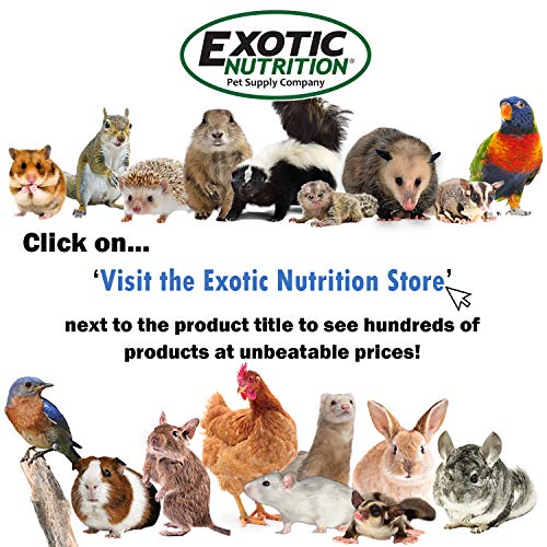 Exotic Nutrition Herbivore Treats 6 Pack - Healthy Assortment Small Animal Pet Treat - Squirrels, Guinea Pigs, Rabbits, Chinchillas, Prairie Dogs, Degus, Hamsters, Gerbils, Herbivores