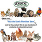 Exotic Nutrition Pasture Plus+ Salad Essentials - Healthy Natural High-Fiber Dried Flower & Herb Treat - Guinea Pigs, Rabbits, Chinchillas, Prairie Dogs, Degus, Hamsters, Gerbils & Other Small Pets
