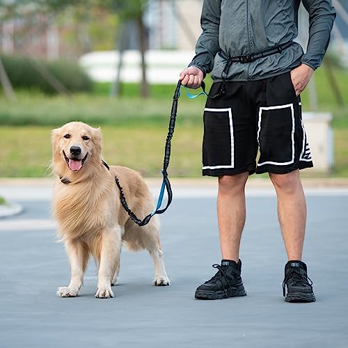 iYoShop Retractable Hands Free Dog Leash - Dual Handle Bungee Waist Leash for Small, Medium and Large Dogs (Medium/Large, 25-150 lbs, Black)