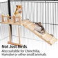 Bird Perches Platform Swing with Climbing Ladder, Parakeet Cage Accessories Wooden Playing Gyms Exercise Sturdy for Small Birds