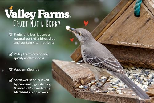 Valley Farms Fruit Nut & Berry (4 LB) Wild Bird Food Outside Feeders, Bird Seed with Dried Fruit, Peanuts, Sunflower, and Safflower, High Energy Mix for Healthy Birds!