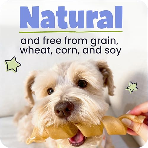 Pawstruck All Natural 11-12" Roasted Collagen Sticks for Dogs – Low Odor & Long-Lasting Bully Stick & Rawhide Alternative, Single Ingredient, Vet Approved – 5 Pack