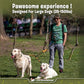 Pet Dreamland Exquisite Hands Free Double Dog Leash for Two Dogs with Tangle-Free Swivel. Premium Quality & Versatile for Running. You Will