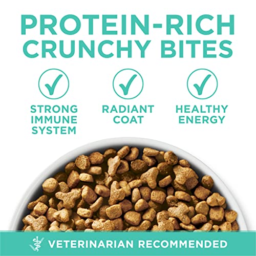 Purina ONE Sensitive Stomach, Sensitive Skin, Natural Dry Cat Food, +Plus Sensitive Skin and Stomach Formula - 22 lb. Bag