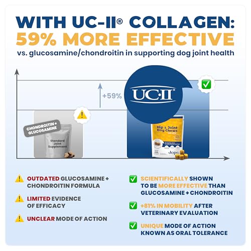 Jope Hip & Joint Supplement for Dogs Large, Medium, Small - Joint Chews w/UC-II® Collagen - Proven Better Than Glucosamine Chondroitin in Canine