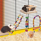 5in1 Bird Parakeet Toys, Detachable Birdie Perches Platform Swing with Climbing Ladder, Parrot Cage Stand Accessories, Wooden Playing Gyms for Conure Cockatiel Lovebird Finch Budgerigar Pigeon