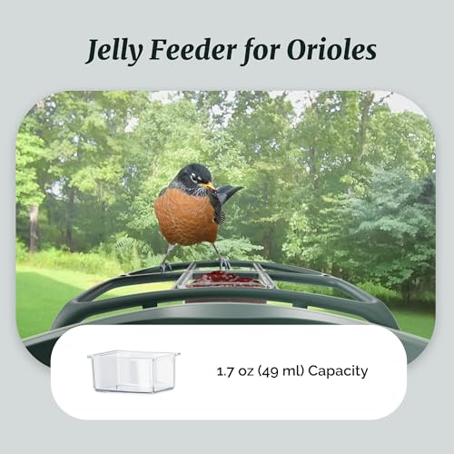 Complete Bird Feeder Accessory Kit DIY Add-Ons Including Mini Hummingbird Feeder, 2 Fruit Holders, Jelly Feeder, Compatible with Kiwibit Smart Bird Feeder with Camera to Attract More Birds
