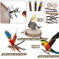 Libiline 8 Pieces Bird Perch Natural Wooden Parrot Perch Stand Fork Toys Hanging Multi-Branch Perches Platform Hammock Swing Toy for Macaws, Small Parakeets, Conures, Budgies, Finches (A-Color, Mix)