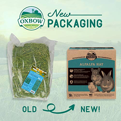 Oxbow Alfalfa, Guinea Pig Hay, Rabbit Hay, Small Pet Bunny Supplies, All Natural Grass for Guinea Pig, Bunny, Chinchilla & Hamster, Oxbow Rabbit Supplies, Grown in USA, 9 lb box