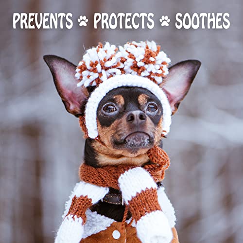 Musher's Secret Dog Paw Wax 60g – Moisturizing Dog Paw Balm – Helps Protect & Heals Cracked Paws – Creates an Invisible Paw Protectors Barrier – All-Natural Nose & Paw Balm with Vitamin E