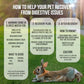 Sherwood Pet Health Rabbit Emergency kit and Bulk Recovery Food (200 Grams)