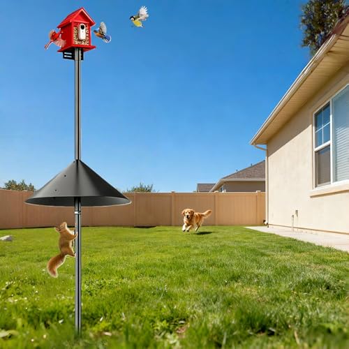 Smart Bird Feeder Pole Stand with Proof Squirrel Baffle - Dia 1 Inch Bird House Pole 79", Feeding Station for Outdoors Heavy Duty, Compatible Post Mount