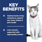Hill's Science Diet Adult 11+, Senior Adult 11+ Premium Nutrition, Dry Cat Food, Chicken Recipe, 7 lb Bag