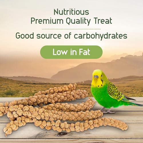 Living World – Millet Spray for Birds, 17.6 Oz – Premium Treat for Budgies, Canaries, Finches, Cockatiels and Other Pet Birds