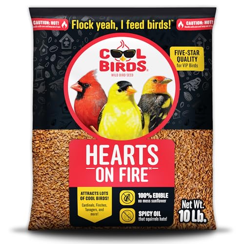 Hearts on Fire Hot Bird Seed – 10 lb. 100% Hulled Sunflower Hearts with Chili Pepper Oil – No Waste Bird Seed for Outside Feeders