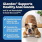 Vetnique Glandex Anal Gland Soft Chew Treats with Pumpkin for Dogs Digestive Enzymes, Probiotics Fiber Supplement for Dogs Boot The Scoot (Peanut Butter Chews, 60 Count)