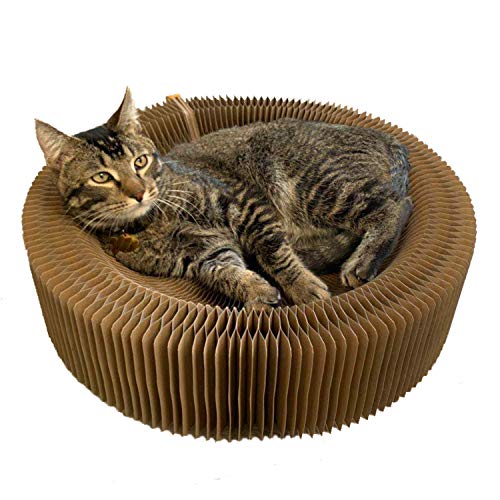 Cat Scratcher Lounge Bed - Collapsible Round Shape for Big cat