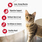 Nulo Freestyle Cat & Kitten Dry Food - Chicken & Cod Recipe, High Protein Grain Free Cat Food, Natural Kibble with Probiotics & Omega Fatty Acids, 4lb Bag