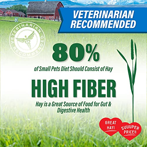 Small Pet Select Value Choice Timothy Hay for Rabbit, Guinea Pig, Bunny, Chinchilla and Other Small Animals, Premium Natural Hay Grown in The US, Pet Food, 8lb