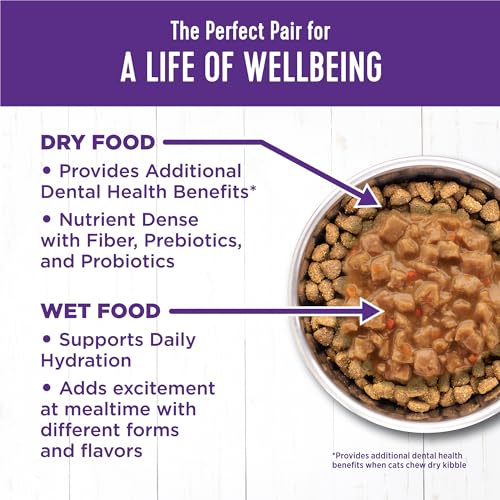 Wellness Complete Health Gravy Adult Wet Cat Food, Natural, Protein-Rich, Grain Free, 5.5 Ounce, 12 Pack, (Turkey Dinner)