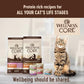 Wellness CORE Signature Selects Shredded Adult Wet Cat Food, Natural, Protein-Rich, Grain Free, 5.3 Ounce, 12 Pack (Poultry Variety Pack)