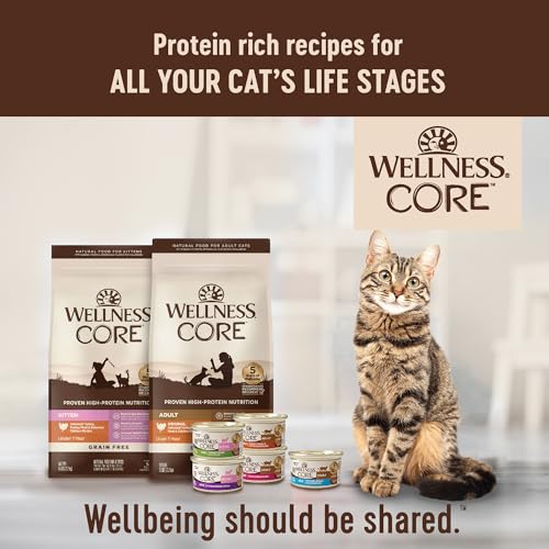 Wellness CORE Signature Selects Shredded Adult Wet Cat Food, Natural, Protein-Rich, Grain Free, 5.3 Ounce, 12 Pack (Poultry Variety Pack)