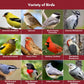 Blue Seal Nature's Choice Wild Bird Seed | High Energy Mix, No Filler | Sunflower and White Safflower Seeds | Attracts Variety of Wild Outside Birds | Shell-Free Mix | Made in USA | 8 Pound Bag