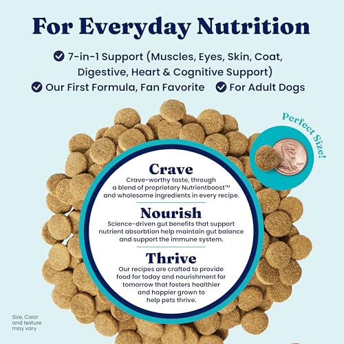Solid Gold, Hund-N-Flocken, Dog Food Dry with Lamb, Rice and Omega 3 Fish Oil for Dogs, Probiotics, 24 LB