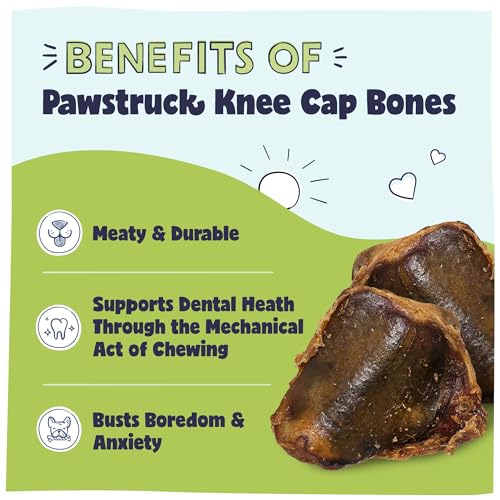 Pawstruck Natural Knee Cap Dog Bones - Treats for Aggressive Chewers, Low Fat & High Protein Chews, Beef Flavor, Long-Lasting Rawhide Alternatives