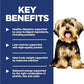 Hill's Science Diet Adult 1-6 Small & Mini Dry Dog Food, Chicken & Brown Rice, 15.5 lb. Bag