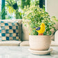 4 Pack Self Watering Bird Shaped Globes, Terracotta Vacation Planters Devices with Slow Release Automatic Watering Spikes, Plant Watering Pots for Indoor and Outdoor Potted Plant