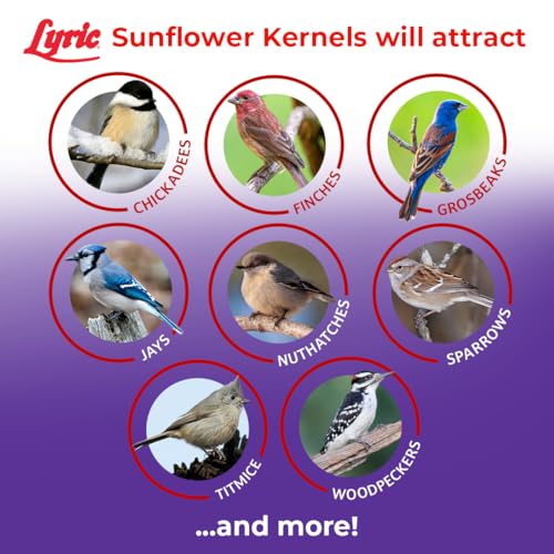 Lyric Sunflower Kernels Wild Bird Seed for Outside Feeders, No Waste Bird Food, Attracts Finches and More, 25 lb Bag