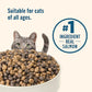 Nutrish Rachael Ray Dry Cat Food Real Salmon & Brown Rice Recipe, 14 lb. Bag