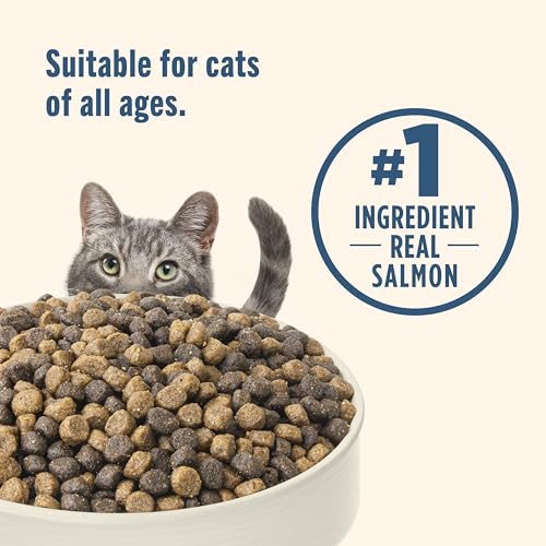 Nutrish Rachael Ray Dry Cat Food Real Salmon & Brown Rice Recipe, 14 lb. Bag