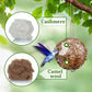 Hummingbird Nesters - Bird Nesting Material Holder for Wild Birds Wrens Finches - Refillable Outdoor Bird Nesting Station to Build a Nest (3 Balls)