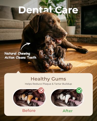 2 Pack Indestructible Dog Chew Toys for Aggressive Chewers: Ultra-Dense Nylon, Bacon Flavor Chew Bones, Heavy Duty Tough Toys for Large Dogs 20-90 lbs, Long Lasting & Keep Them Busy (XL)