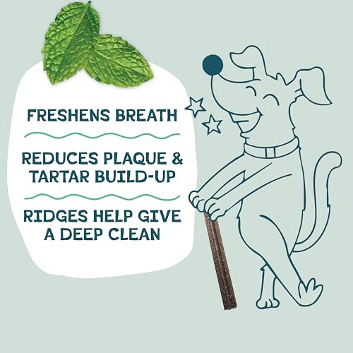 Shameless Pets Blueberry & Mint Dental Chews for Dogs, 8 Chews - Natural Dog Teeth Cleaning Treats with Fresh Breath Benefits | Grain-Free Dental