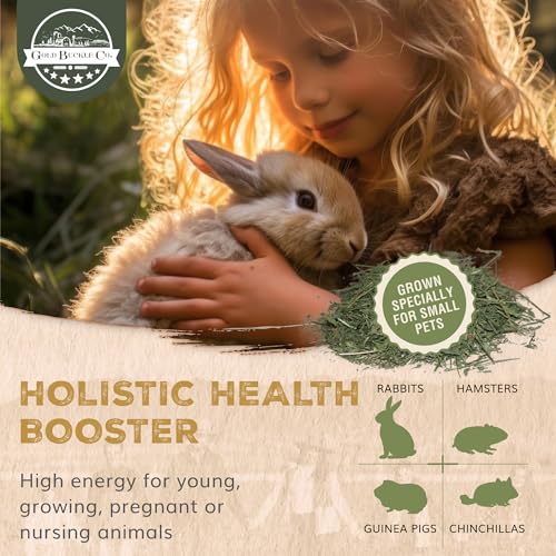 9lb Farm Fresh, USA Grown, Organic Alfalfa Hay for Rabbits, Guinea Pigs, Chinchillas, Goats, Hamsters & Ferrets - Rabbit Food Rich in Protein & Fiber - Just Dried, Hand-Selected