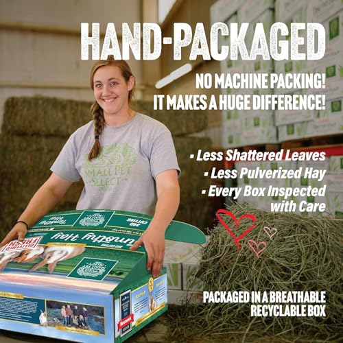 Small Pet Select-Sampler Box, 2ND Cutting, 3RD Cutting Timothy Hay, Oat Hay, & Orchard Hay