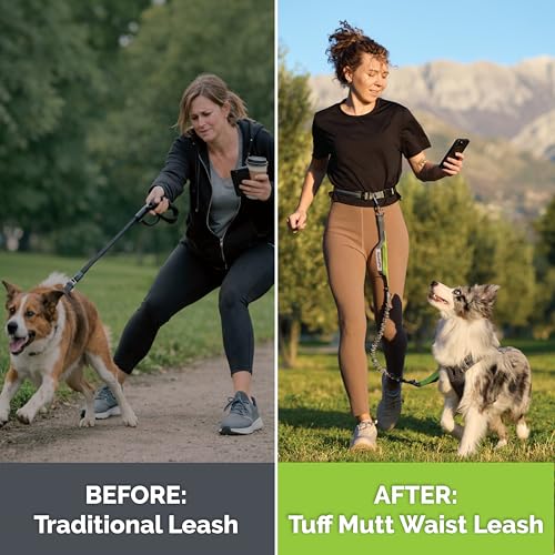 Tuff Mutt Hands Free Dog Leash for Walking Running Hiking, Waist Leash with Bungee, Adjustable Belt, Reflective Double Handle Design for Large Medium