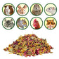 Exotic Nutrition Herbivore Treats 6 Pack - Healthy Assortment Small Animal Pet Treat - Squirrels, Guinea Pigs, Rabbits, Chinchillas, Prairie Dogs, Degus, Hamsters, Gerbils, Herbivores