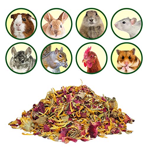 Exotic Nutrition Herbivore Treats 6 Pack - Healthy Assortment Small Animal Pet Treat - Squirrels, Guinea Pigs, Rabbits, Chinchillas, Prairie Dogs, Degus, Hamsters, Gerbils, Herbivores