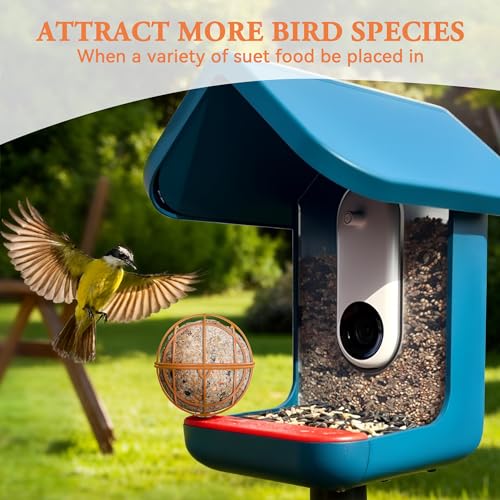 Metal Suet Ball Holder for Bird Buddy, Compatible with BirdBuddy Smart Feeders & Others with Ready 5mm Screw Hole, Durable Accessory & Add-on Attachment for Bird Feeders (Orange)